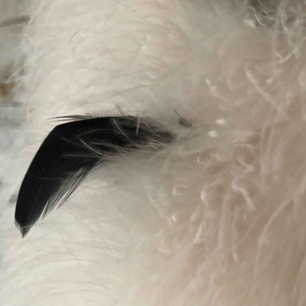 Lamarque Feather jacket - Picture 15 of 15